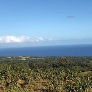 Meet your Posher, Kara